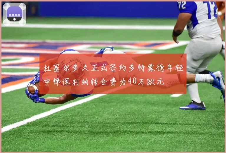 杜塞尔多夫正式签约多特蒙德年轻中锋保利纳转会费为40万欧元