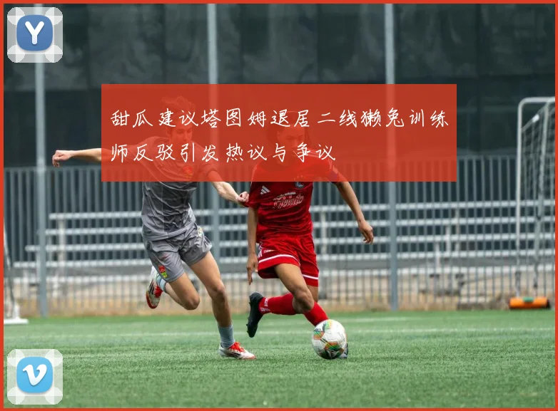 甜瓜建议塔图姆退居二线獭兔训练师反驳引发热议与争议