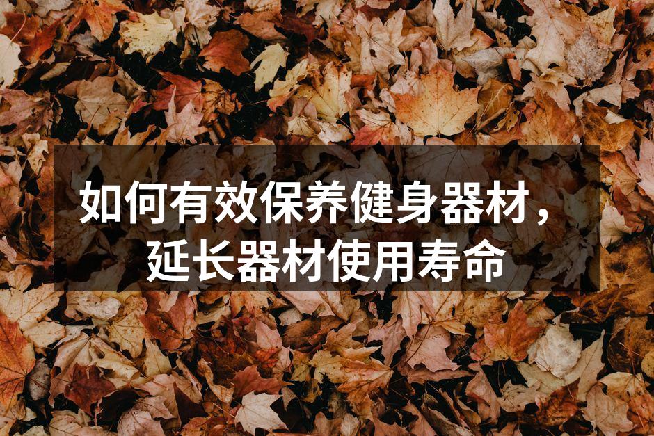 定期清洁健身器材是保养的关键