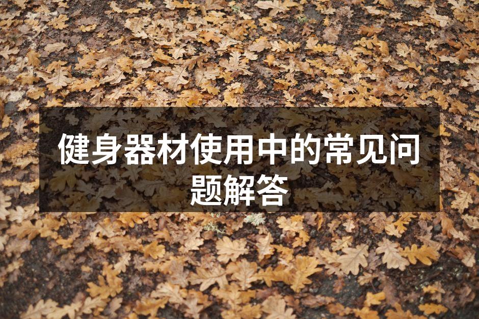 多样的健身器材选择